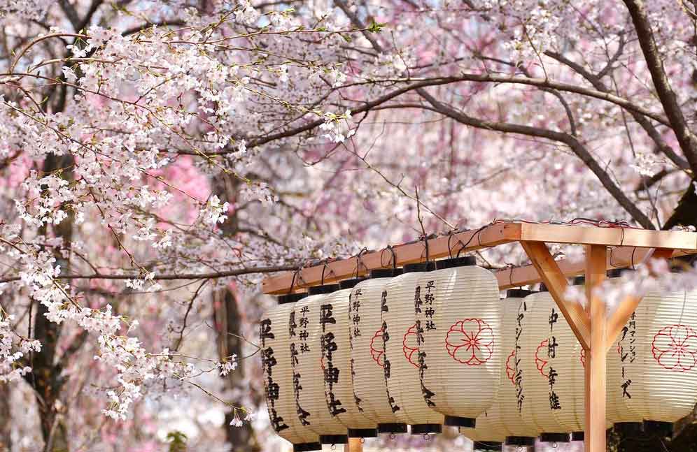 The best times to visit Japan