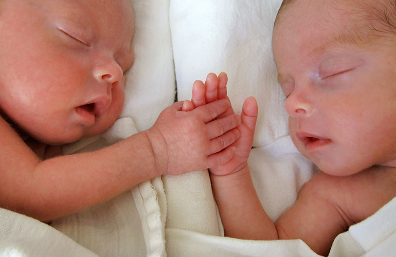To tell twins apart, look at their…
