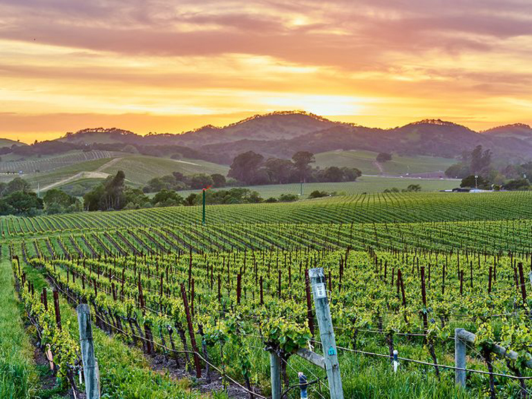 Napa, California, USA