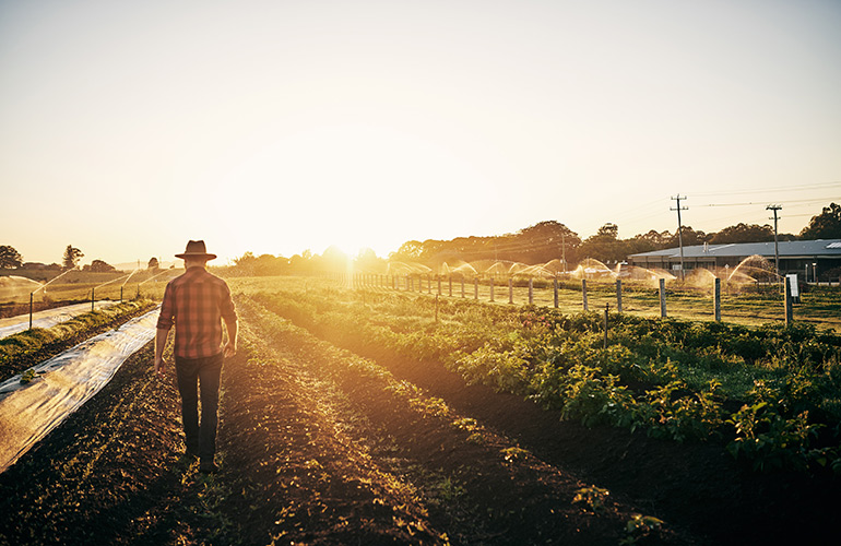 What did the farmer say after he lost his tractor?