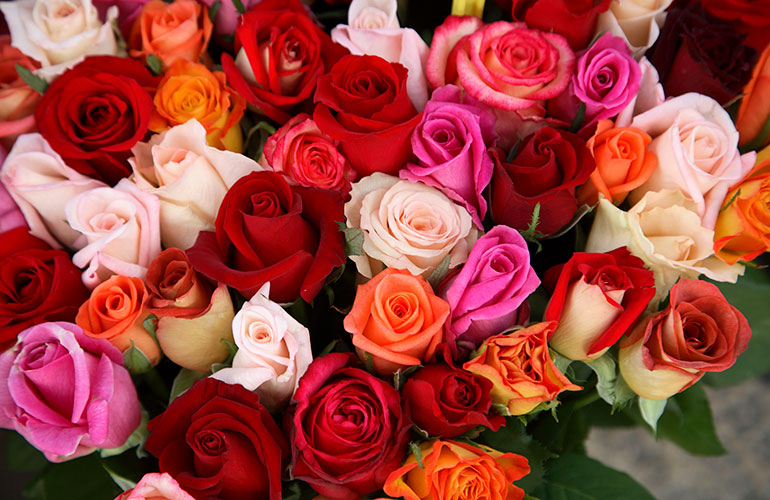 Roses are red, violets are blue…