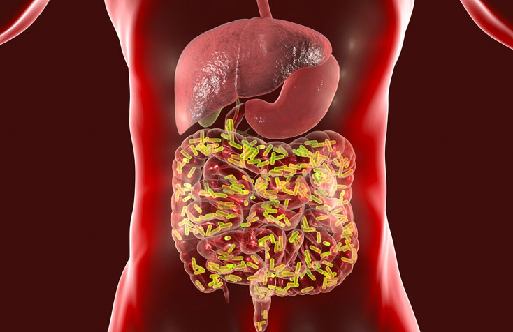 5 habits that cause an unhealthy gut
