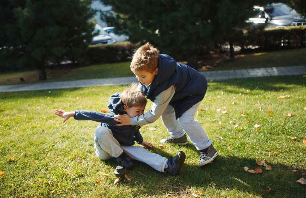 Myth: They are prone to violence
