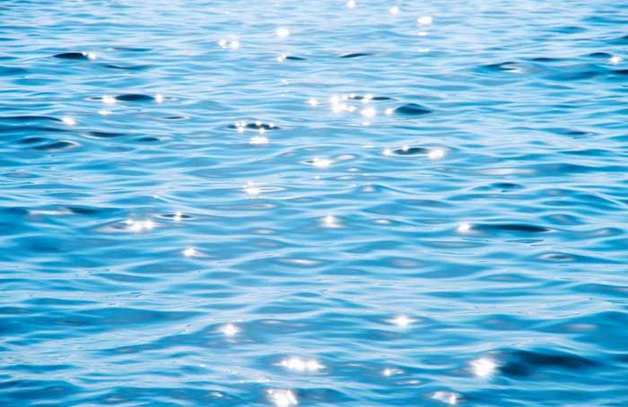 The ocean is full of gold