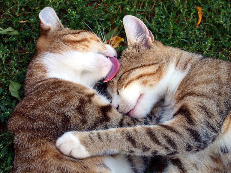To show friendship