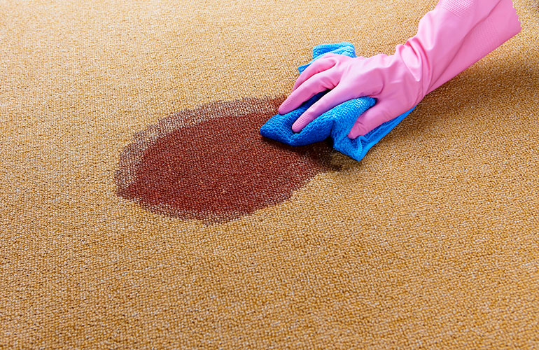 Remove a stain from the carpet