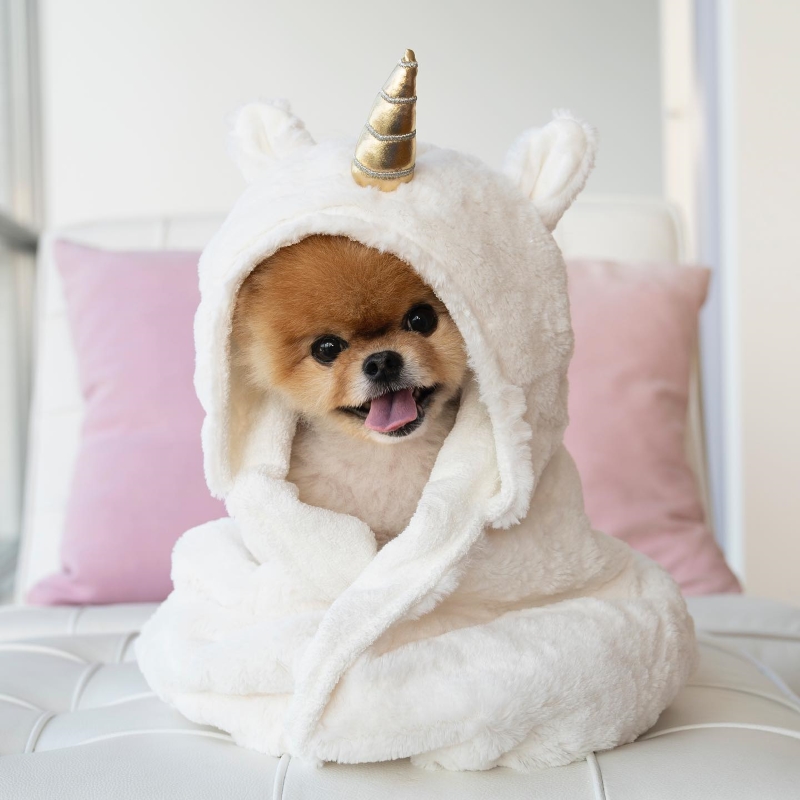 Jiffpom
