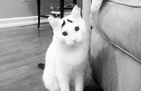 Sam