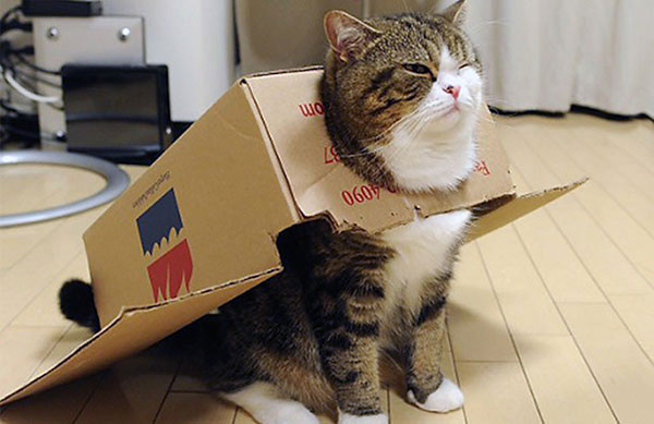 Maru