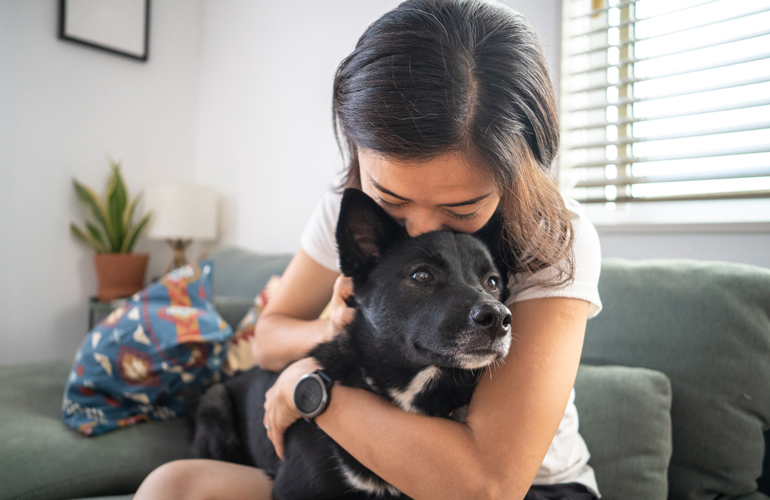 Understand your furry friend