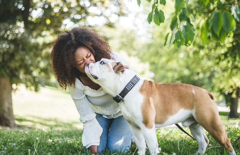 Why do dogs like to be petted?
