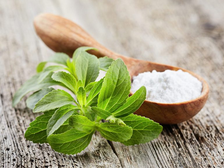 Stevia