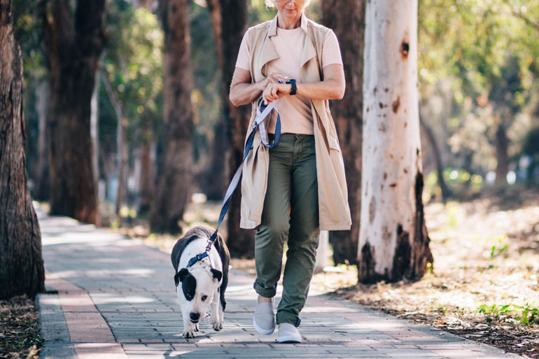 Dogs need exercise