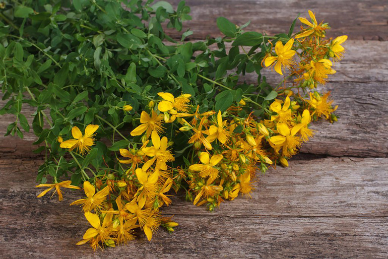 St. John’s Wort