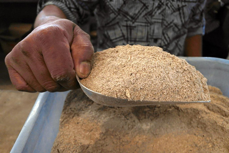 Kava