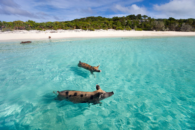7. Exuma, Bahamas