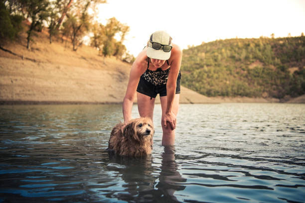 How do you know if a dog can swim?