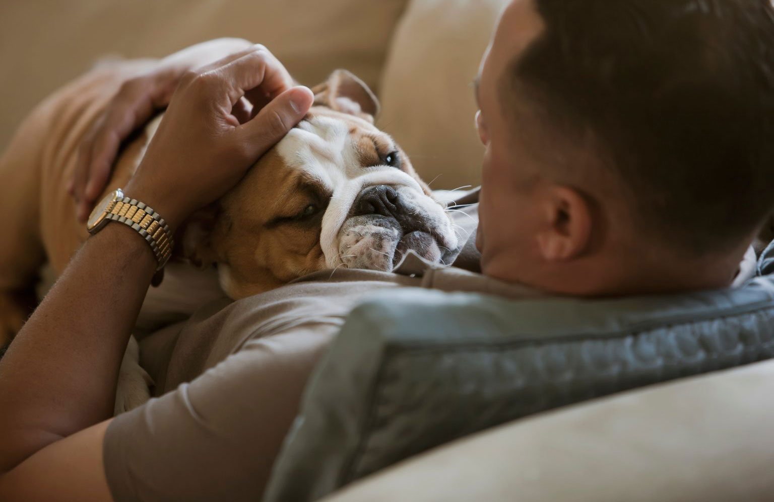 People judge you on your choice of pet