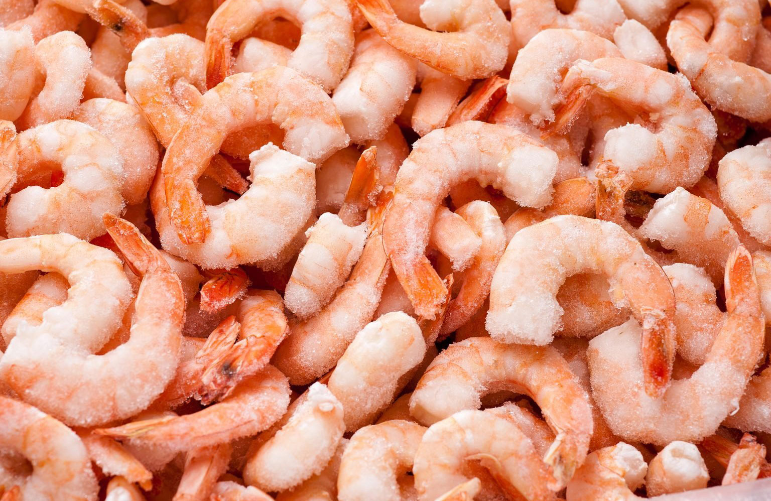 Prawns