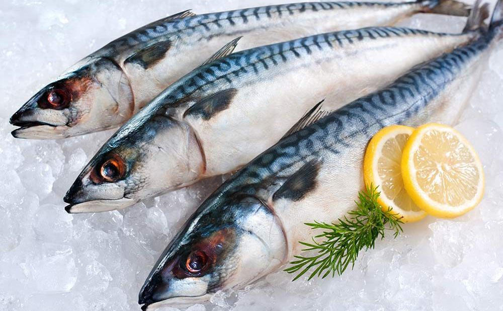 Fish
