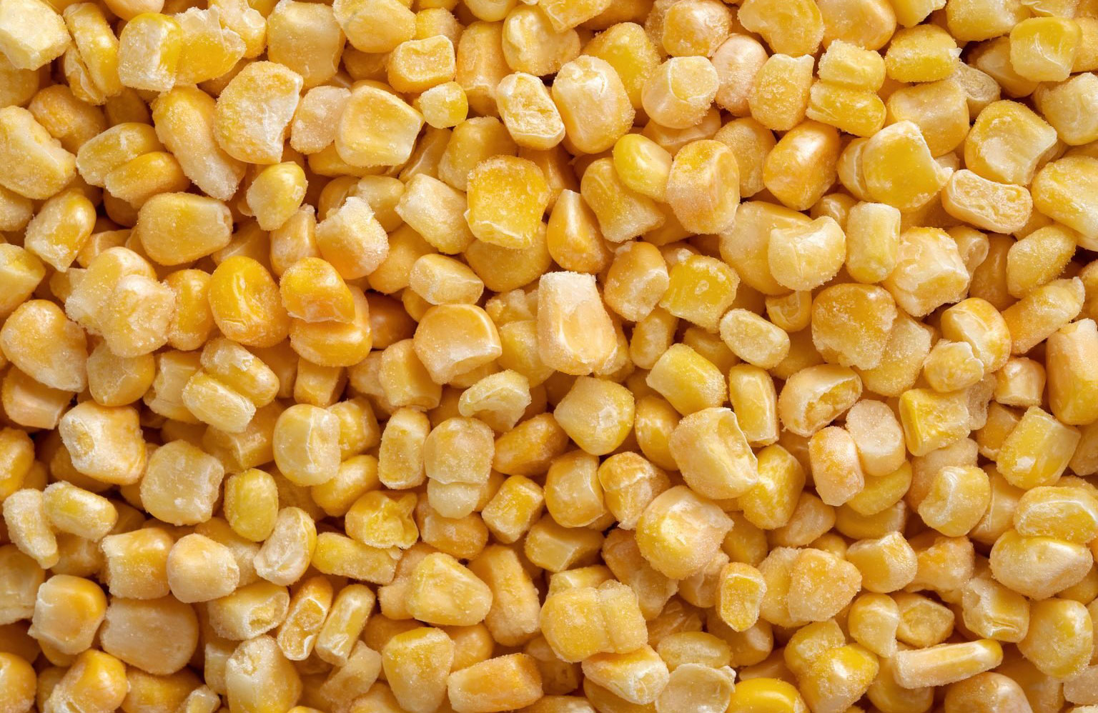Corn