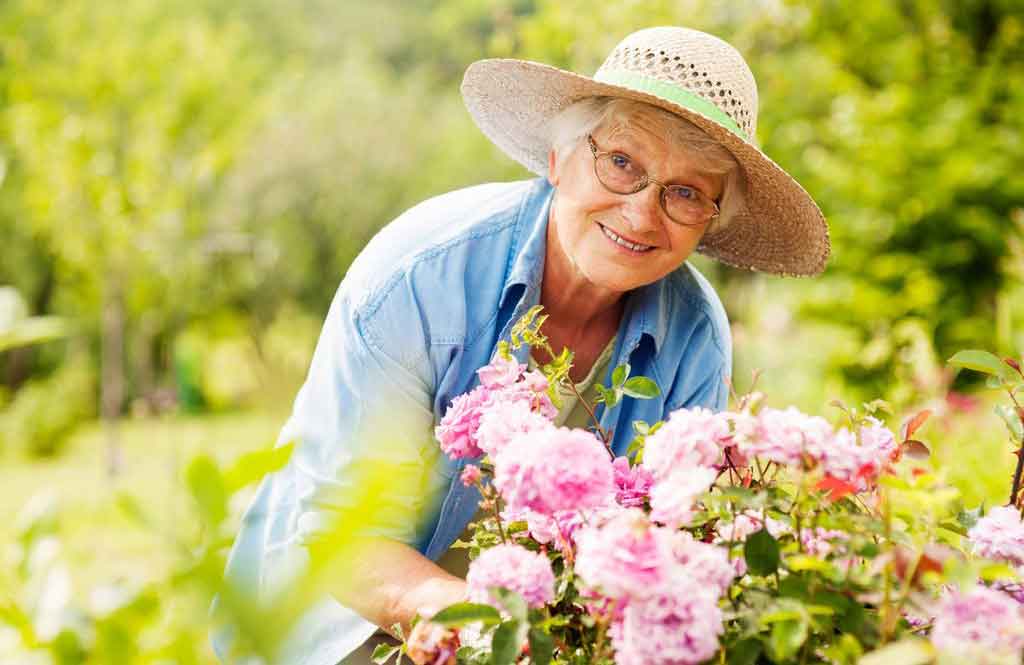 Nourishes your spirit