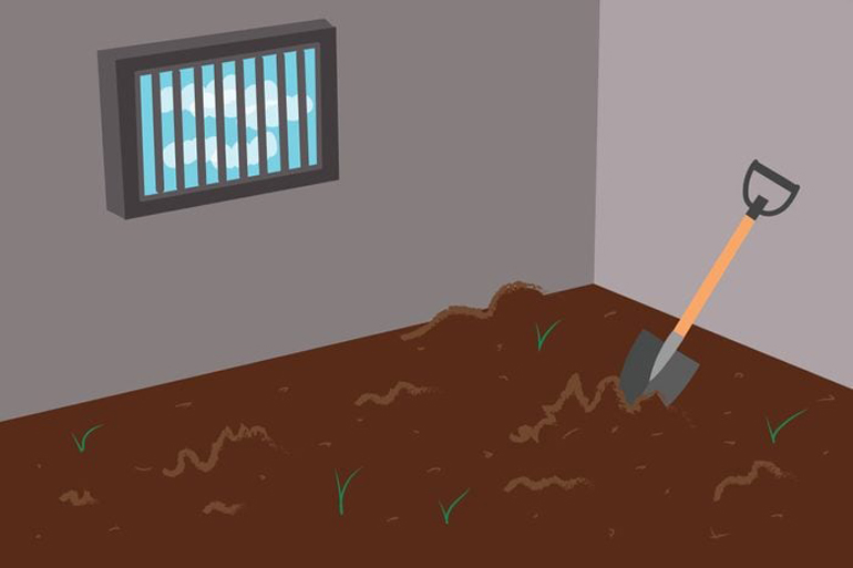 Empty cell mystery
