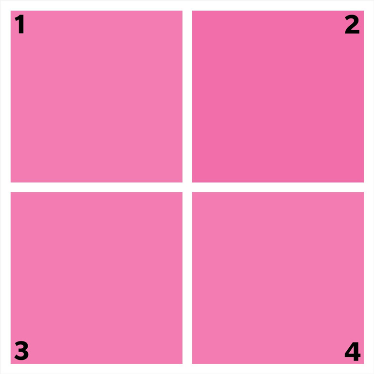 Which shade of pink is different?
