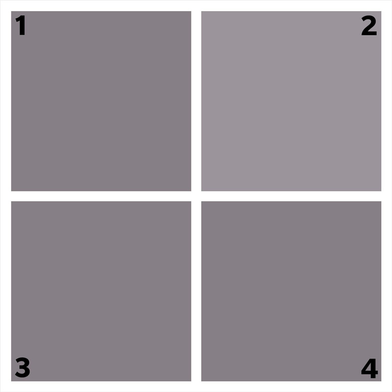Which shade of grey is different?