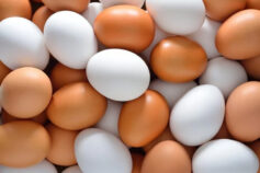 How to buy the best eggs