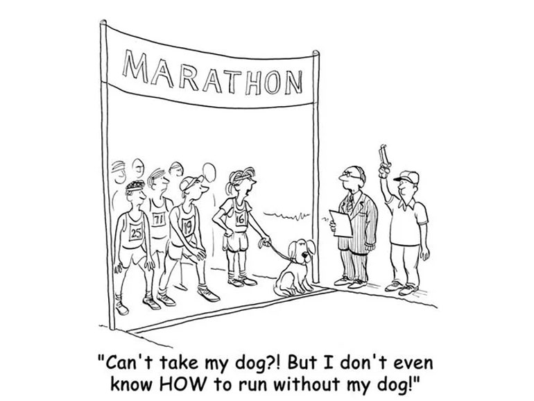 Runner dog