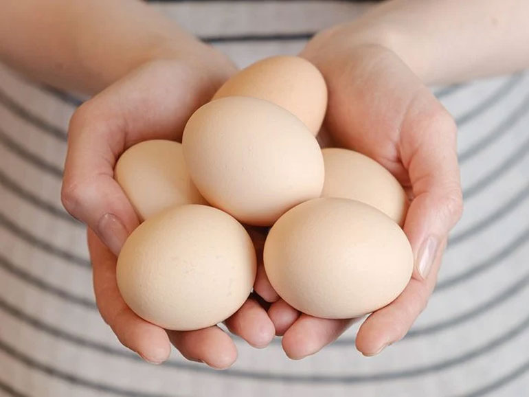 Are organic eggs the best eggs?