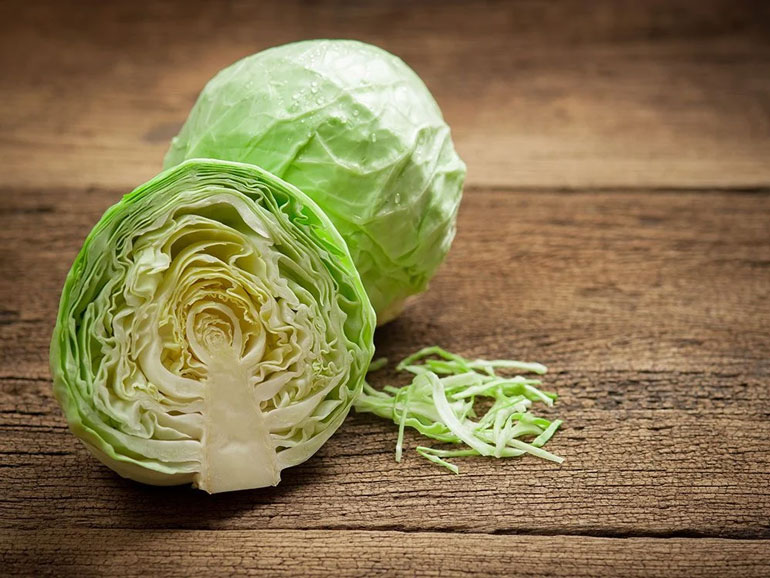 Cabbage