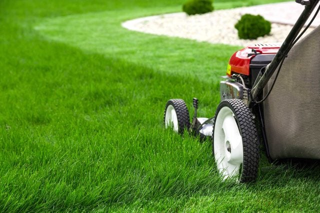 Mow the lawn: Feel more joyful