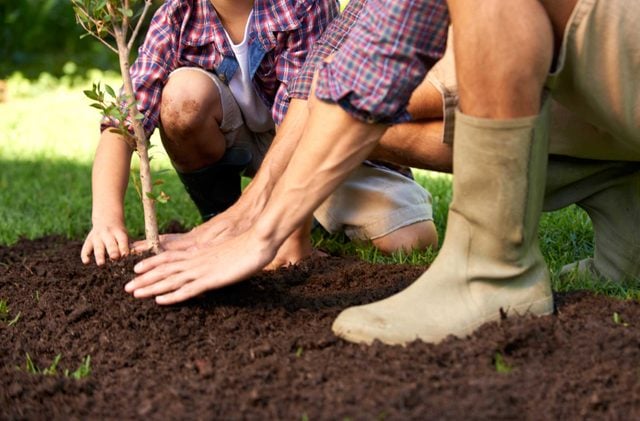 Grow flowers and vegetables: Lower depression risk