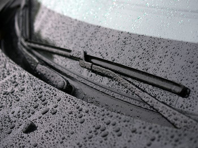 Ensure windshield wipers are in working order