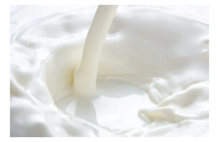 Dairy