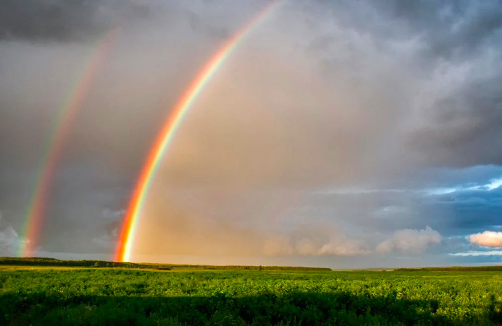 Go outside directly after a thunderstorm