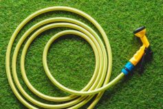 Make a snake decoy to scare birds