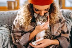 Do cats like kisses?