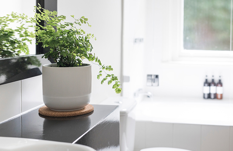 How to prevent dirty bathmats