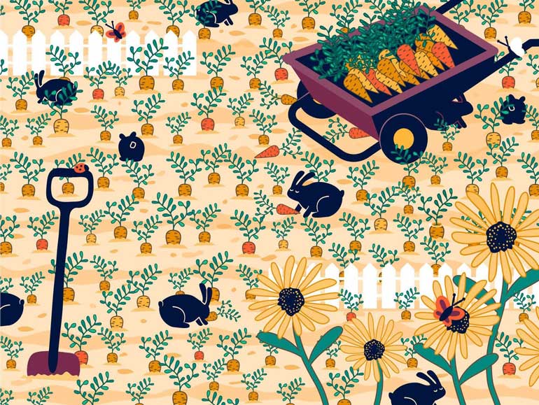 3. Find the hidden ring
