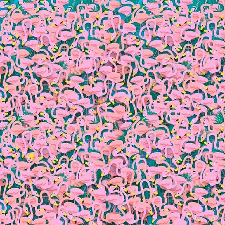 6. Find the hidden dancer