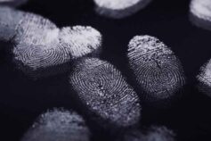 12 surprising facts about fingerprints, including why we even have them