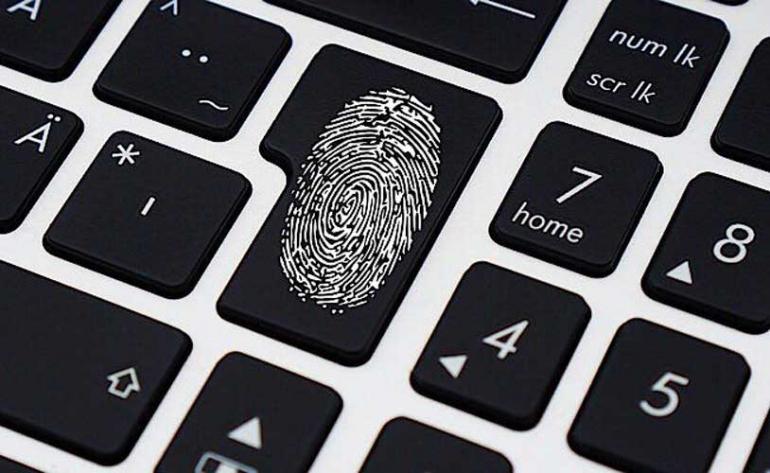 Why do we have fingerprints?