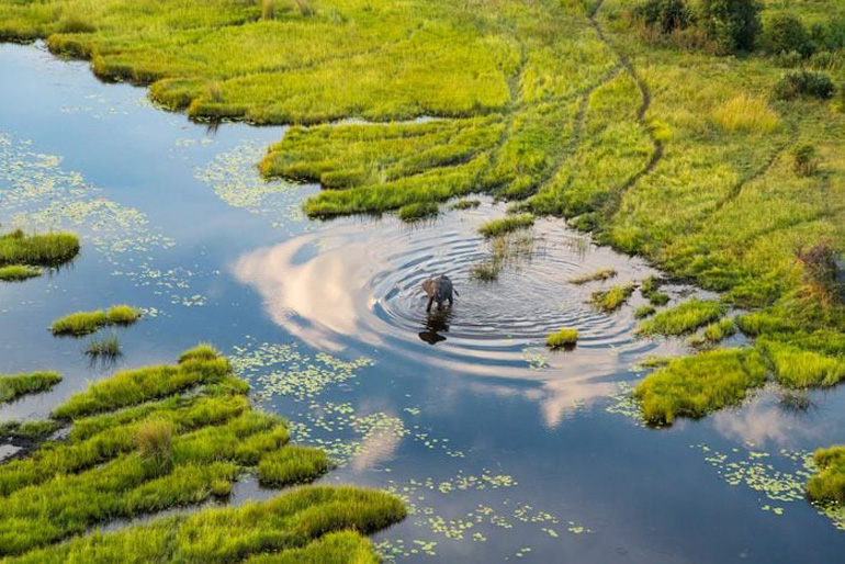 Okavango Delta, Botswana