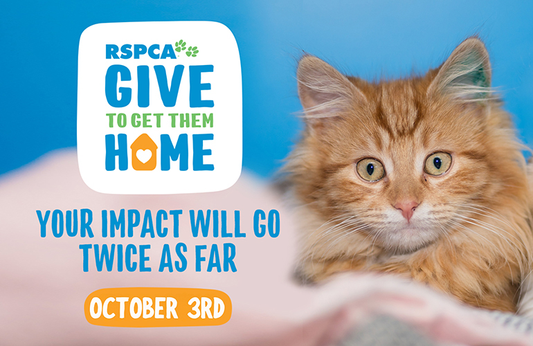 Every animal deserves a good life and a loving home that’s what we