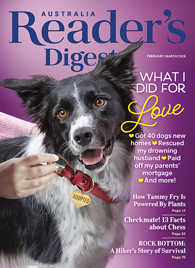 USRD_00_Cover_Love_US260201_AU EDIT_NoSpine_c