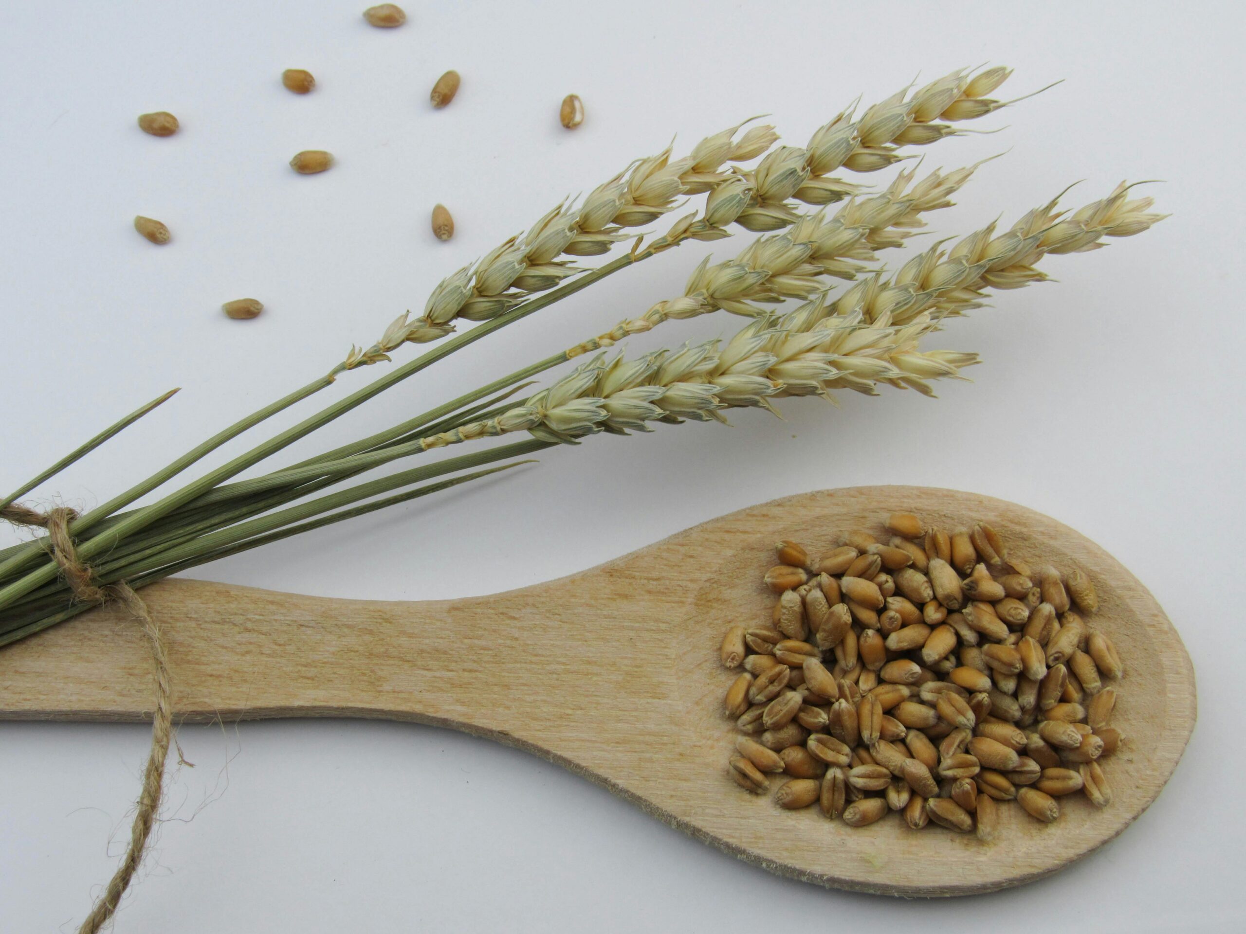 Fructans in Grains, Vegetables & “Healthy” Fibres