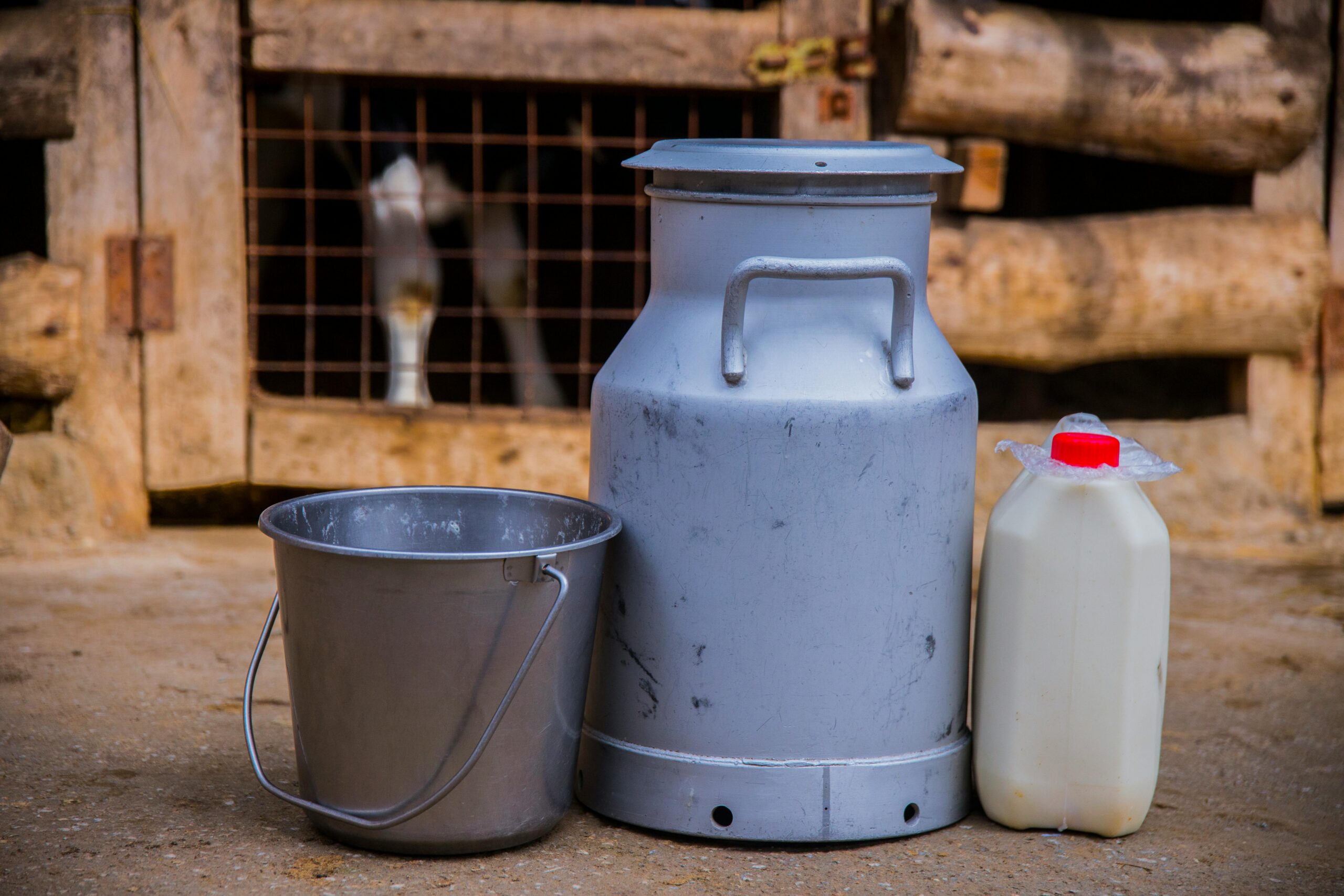 Dairy & Lactose Intolerance